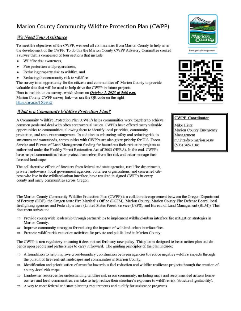 PDF of Flyer