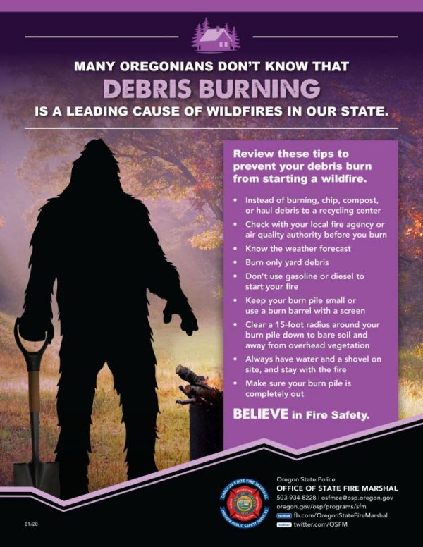 Bigfoot Yard Debris Flyer