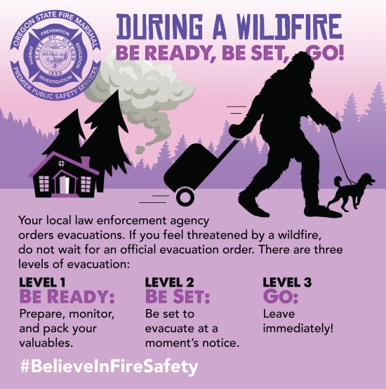 BelieveInFireSafety Link