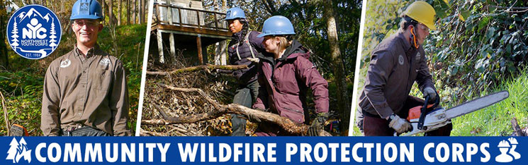 Community Wildfire Protection Corp Link