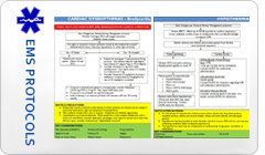 Link to EMS Protocols PDF